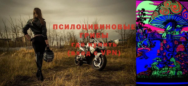 МДПВ Алексеевка