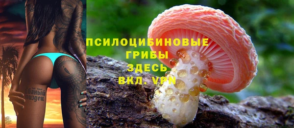 амф Покров