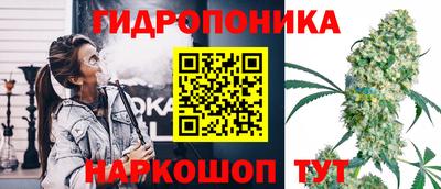 стафф Ставрополь