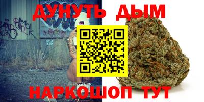 стафф Ставрополь