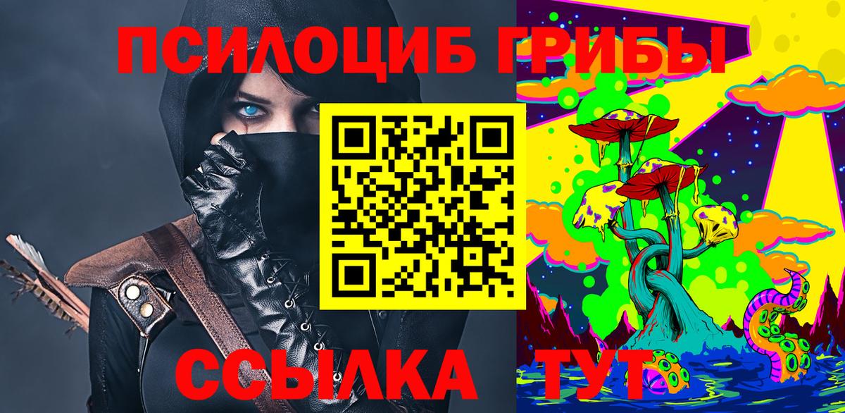 Псилоцибиновые грибы Cubensis  Вход с VPN  Приморско-Ахтарск 